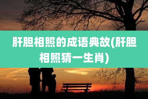 肝胆相照的成语典故(肝胆相照猜一生肖)