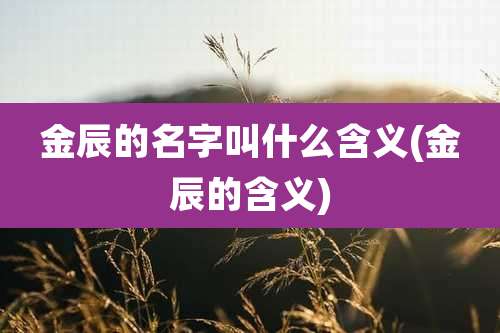 金辰的名字叫什么含义(金辰的含义)