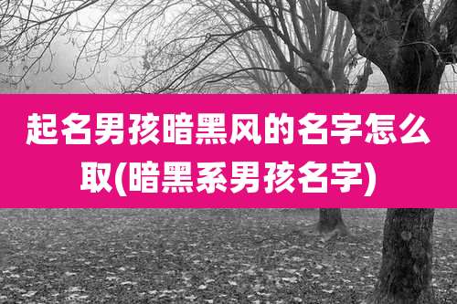 起名男孩暗黑风的名字怎么取(暗黑系男孩名字)