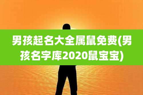 男孩起名大全属鼠免费(男孩名字库2020鼠宝宝)
