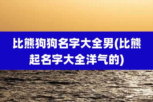 比熊狗狗名字大全男(比熊起名字大全洋气的)