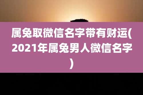 属兔取微信名字带有财运(2021年属兔男人微信名字)