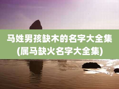 马姓男孩缺木的名字大全集(属马缺火名字大全集)