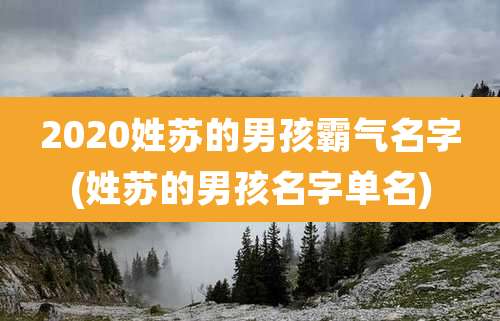 2020姓苏的男孩霸气名字(姓苏的男孩名字单名)