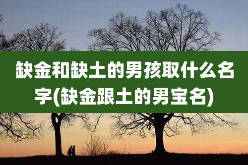 缺金和缺土的男孩取什么名字(缺金跟土的男宝名)