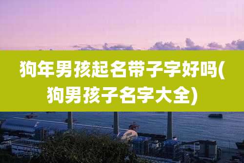狗年男孩起名带子字好吗(狗男孩子名字大全)
