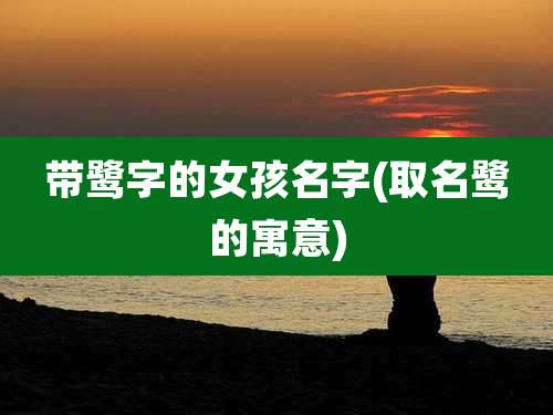 带鹭字的女孩名字(取名鹭的寓意)