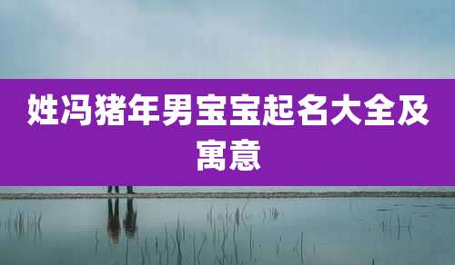姓冯猪年男宝宝起名大全及寓意