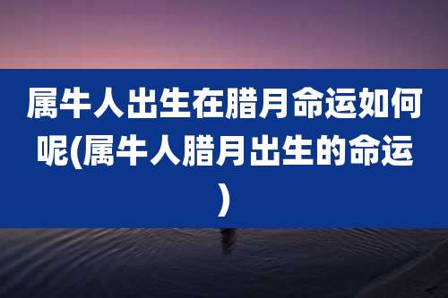 属牛人出生在腊月命运如何呢(属牛人腊月出生的命运)