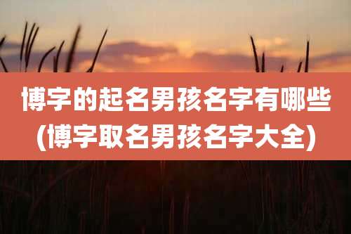博字的起名男孩名字有哪些(博字取名男孩名字大全)