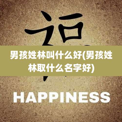 男孩姓林叫什么好(男孩姓林取什么名字好)