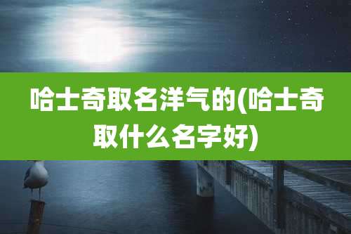 哈士奇取名洋气的(哈士奇取什么名字好)