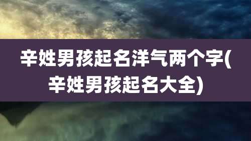 辛姓男孩起名洋气两个字(辛姓男孩起名大全)