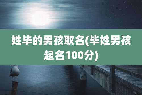 姓毕的男孩取名(毕姓男孩起名100分)