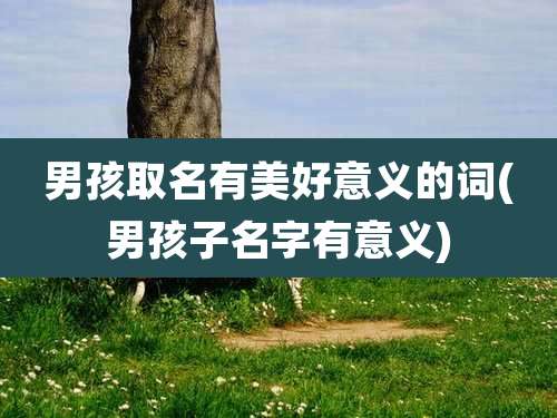 男孩取名有美好意义的词(男孩子名字有意义)