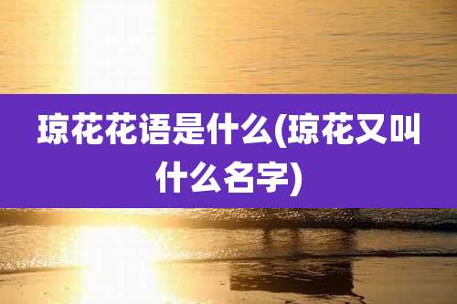 琼花花语是什么(琼花又叫什么名字)