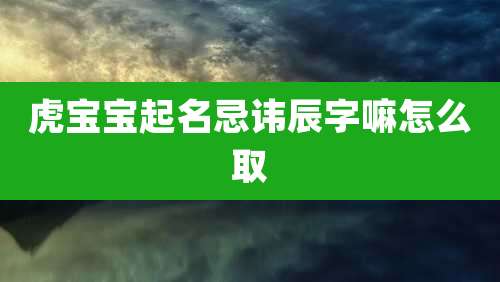 虎宝宝起名忌讳辰字嘛怎么取