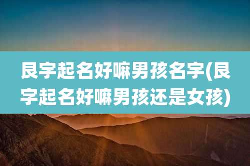 艮字起名好嘛男孩名字(艮字起名好嘛男孩还是女孩)