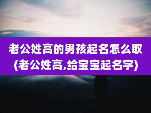 老公姓高的男孩起名怎么取(老公姓高,给宝宝起名字)