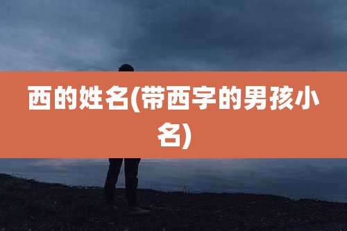 西的姓名(带西字的男孩小名)