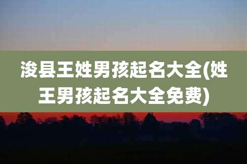 浚县王姓男孩起名大全(姓王男孩起名大全免费)