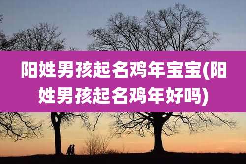 阳姓男孩起名鸡年宝宝(阳姓男孩起名鸡年好吗)