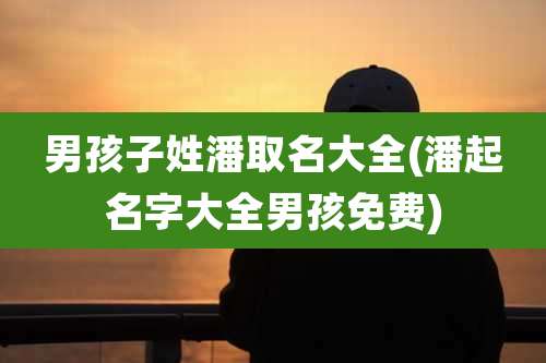 男孩子姓潘取名大全(潘起名字大全男孩免费)