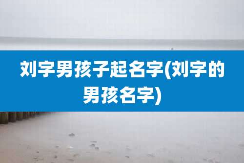 刘字男孩子起名字(刘字的男孩名字)