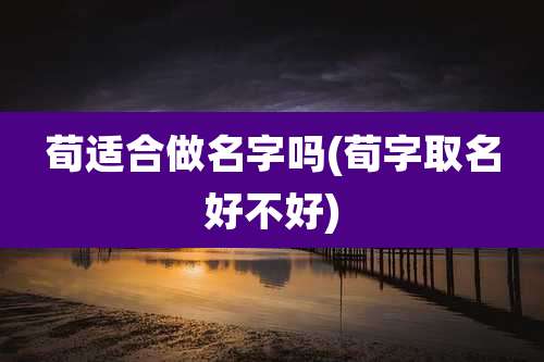荀适合做名字吗(荀字取名好不好)