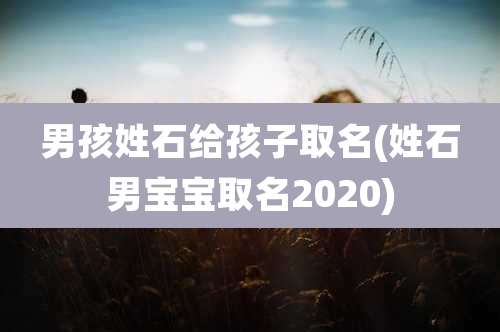 男孩姓石给孩子取名(姓石男宝宝取名2020)