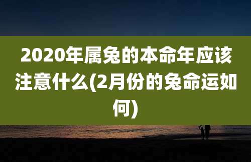 2020年属兔的本命年应该注意什么(2月份的兔命运如何)