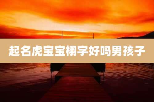 起名虎宝宝栩字好吗男孩子