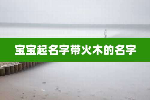 宝宝起名字带火木的名字