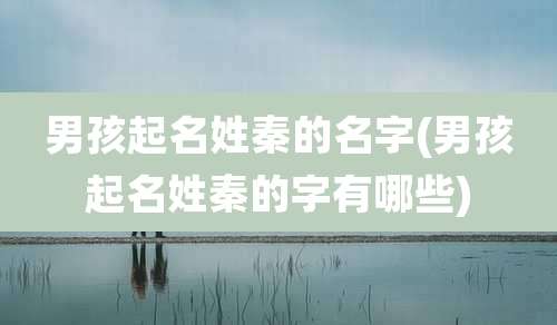 男孩起名姓秦的名字(男孩起名姓秦的字有哪些)