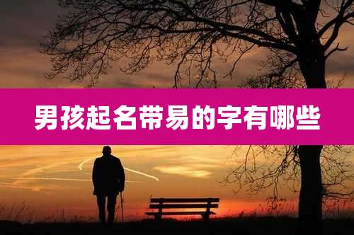 男孩起名带易的字有哪些