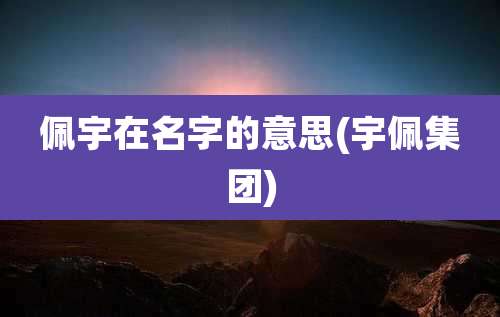 佩宇在名字的意思(宇佩集团)