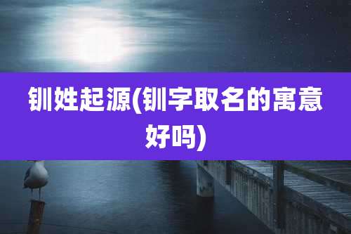 钏姓起源(钏字取名的寓意好吗)