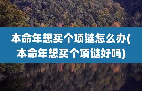 本命年想买个项链怎么办(本命年想买个项链好吗)