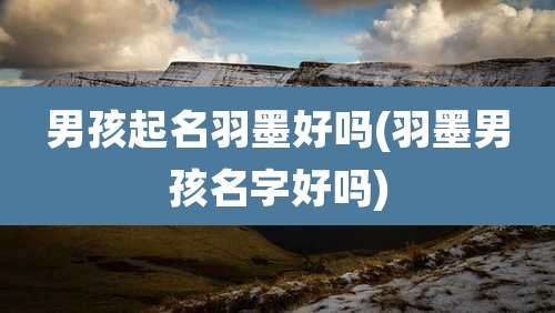 男孩起名羽墨好吗(羽墨男孩名字好吗)