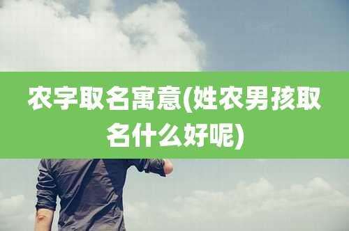 农字取名寓意(姓农男孩取名什么好呢)