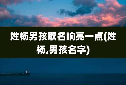 姓杨男孩取名响亮一点(姓杨,男孩名字)