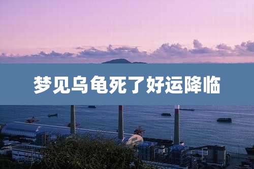 梦见乌龟死了好运降临