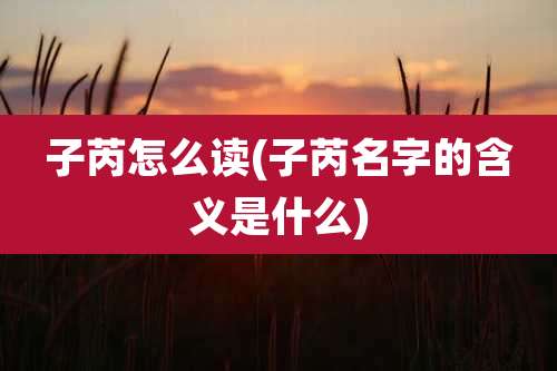 子芮怎么读(子芮名字的含义是什么)