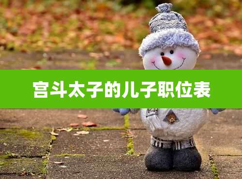 宫斗太子的儿子职位表