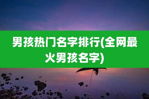 男孩热门名字排行(全网最火男孩名字)