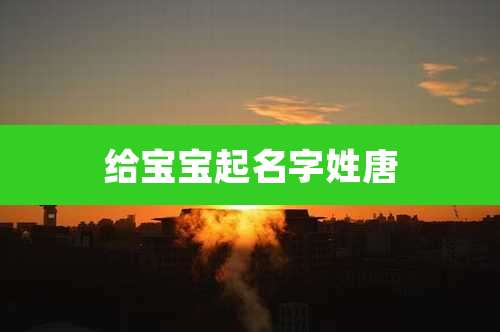 给宝宝起名字姓唐