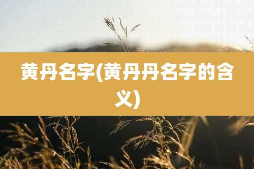 黄丹名字(黄丹丹名字的含义)