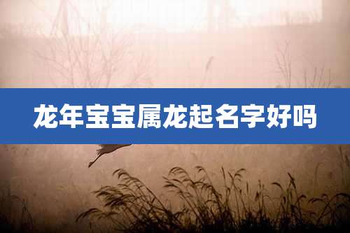 龙年宝宝属龙起名字好吗