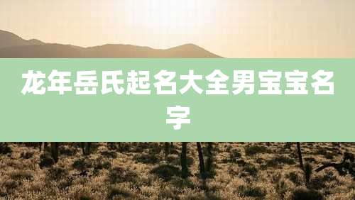 龙年岳氏起名大全男宝宝名字