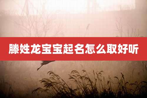 滕姓龙宝宝起名怎么取好听